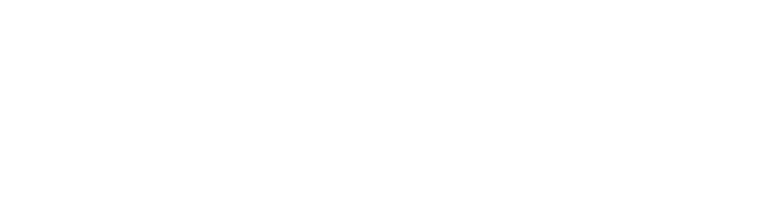 Logo AQIISM